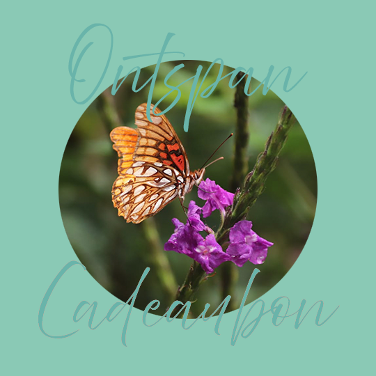 Cadeaubon € 50,-